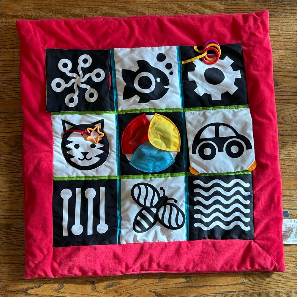 Wimmer Ferguson for Manhattan Toy - Crawl and Discover Learning Mat - LIKE NEW